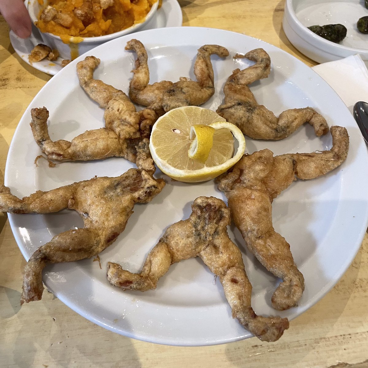 Javier ( 哈比 | خبيار ) tweet media