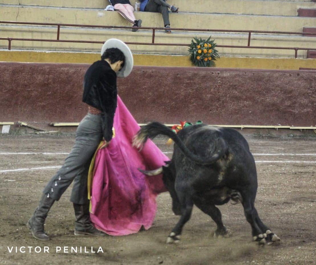 𝐂𝐚𝐝𝐞𝐫𝐞𝐲𝐭𝐚, 🤍💀

3 orejas en el festival tradicional de día de muertos, una tarde llena de grandes sensaciones y momentos. 
Resultado: 
1ª toro “Llorón” - 1 oreja 
2ª (toro de regalo) “No Vuelvo” - 2 orejas 
📸 - @victor_penilla 

#cadereyta #diadelosmuertos #muertos