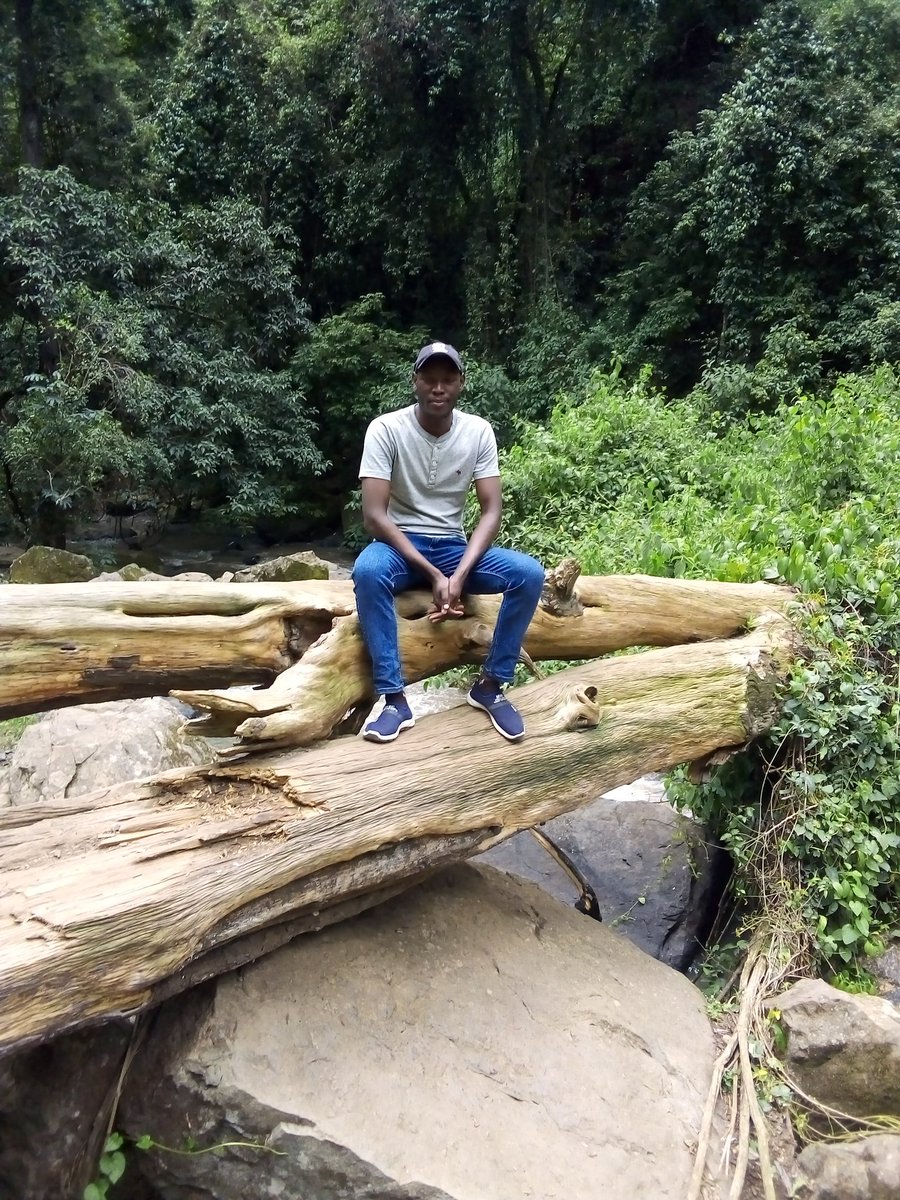 CarlpetersW's tweet photo. #letsgogreen 
@methumuhia we are appealing to you abd the Ndaragwa leadership to consider Ndaragwa forest for fencing, tree planting and we shall get a better future. We can reclaim the lost good times. @HonKioni @citizentvkenya @rebecca_miano https://t.co/pRSKXdSNsC