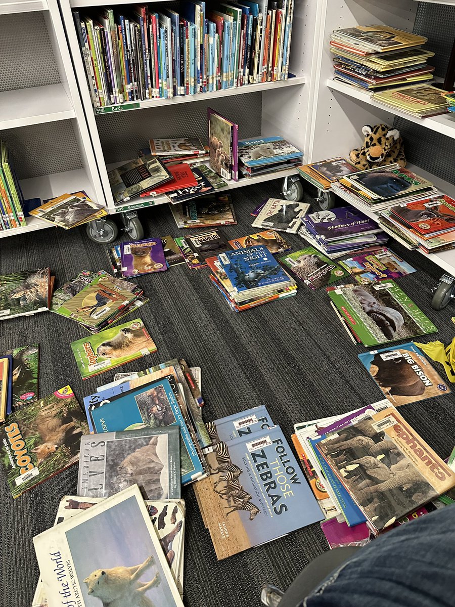 MrsSporrer's tweet image. Excited to organize my mammal section to make it easier to browse! #gcisdlib  #ExperienceSLE #messybessy