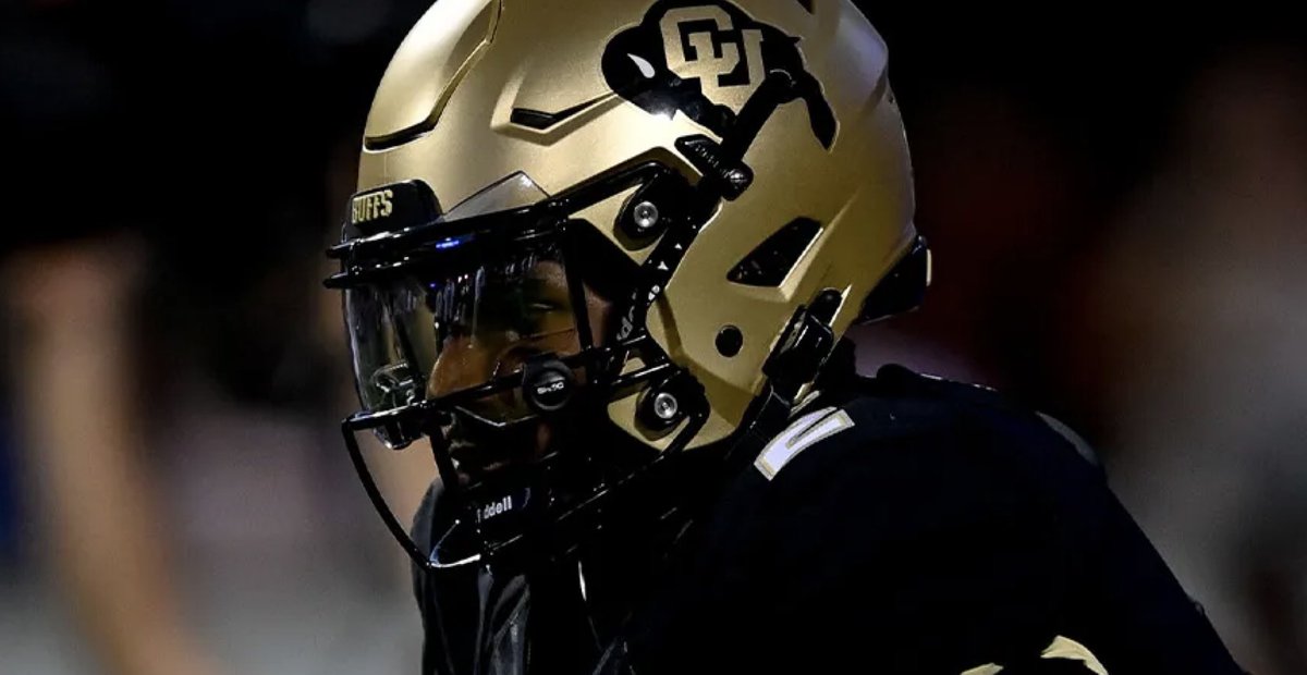 Rookie Watch tweet media