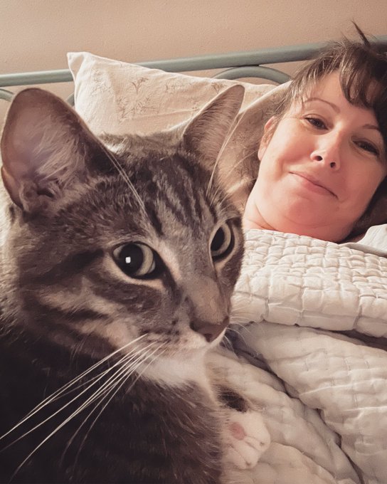 My little man keeping me company while I&rsquo;m sick&hellip; 🤒 https://t.co/jm8f6cWYLi<a href="/tag/asswednesday"class="tags"><span>#asswednesday</span></a>