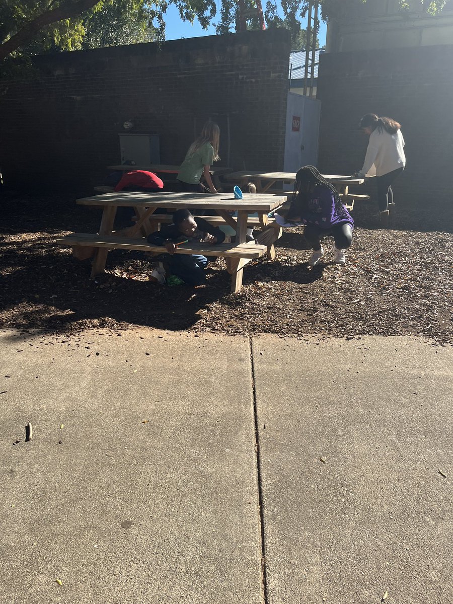 Searching for ladybugs while learning about the different species and their importance to our ecosystem! <a href="/Lead_Mine/">Lead Mine Elementary</a>