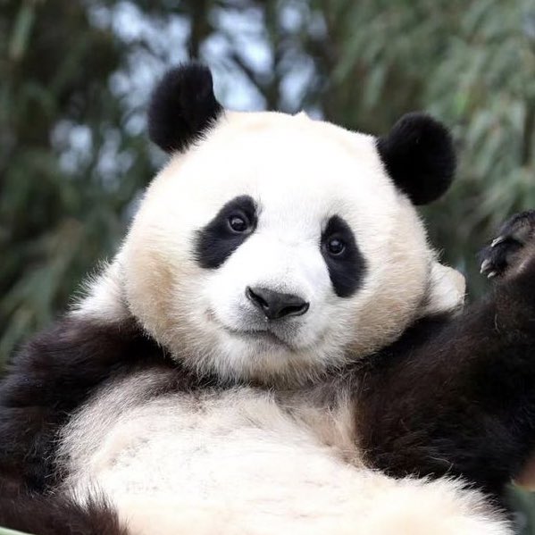 주변에서 여자치고 큰 키라고 부럽다 부럽다 하는데 .. 난 덩치도 크고 옷 사면 바지가 짧고 .. 치마 사면 입질 못하눈 슬픔이 .. 모가 조아 ..!