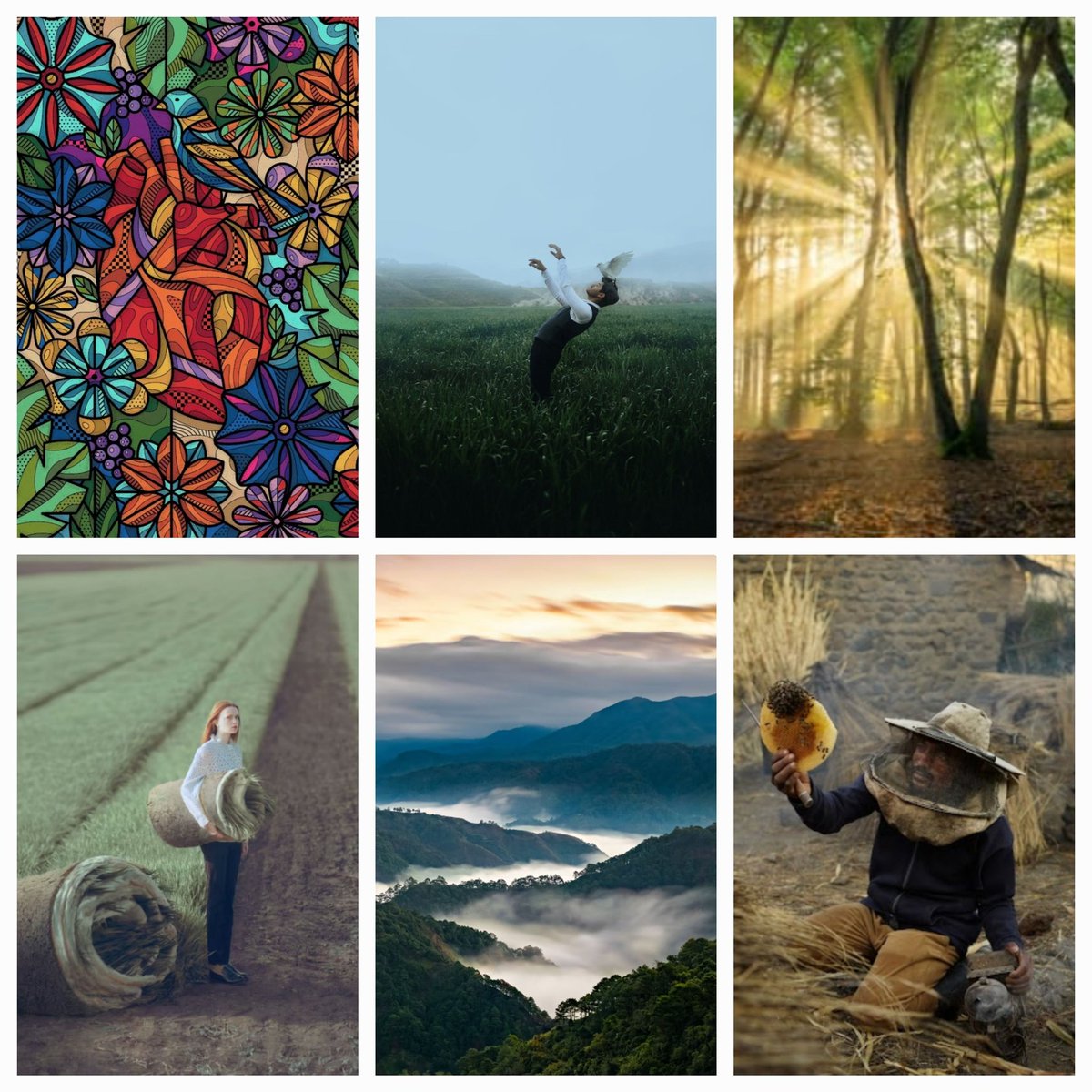 lewis_dwyer91's tweet photo. @foreverlandsxyz have created unappreciated value through its mega art vault, filled with 100s of Blue-chip and 1/1 art. Congrats to all the explorers who made it this far 👏 https://t.co/CzpDIC4ouG