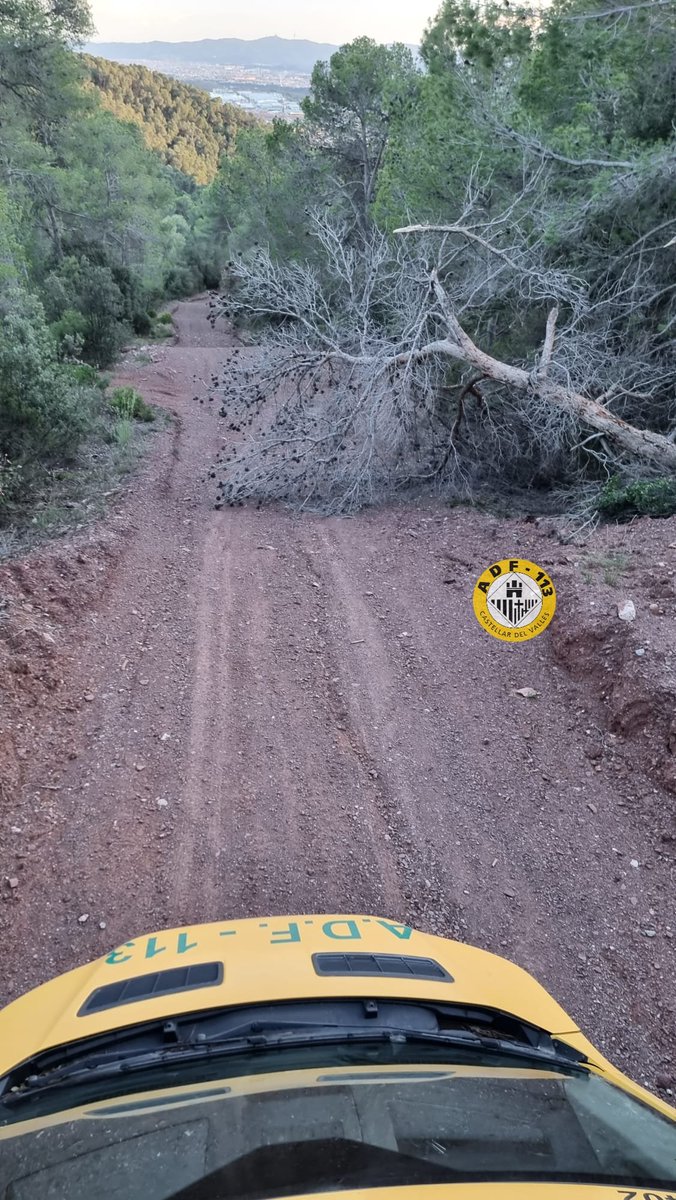 ADF113Castellar's tweet photo. ⚠️Baixant de la Serra de Pinós hem tallat i apartat aquest arbre caigut, després d'aquests dies de fortes ventades💨🌳🪚 
#adfcastellar113 #adf113 #castellardelvalles #adf #federacio #fadfvoc #ventada #meteocat @lactual @femcastellar https://t.co/9ZNfwGlLJe