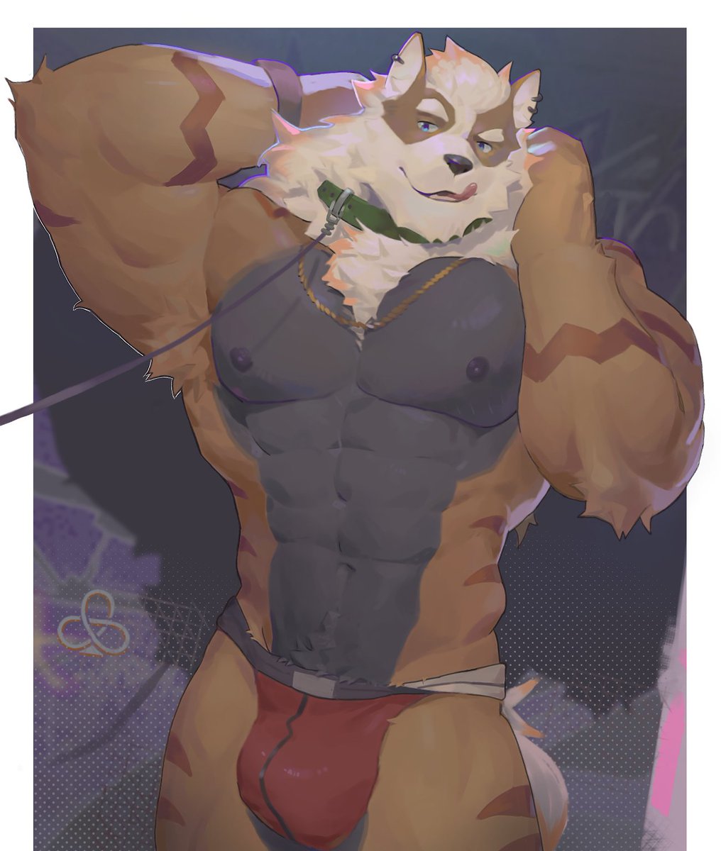 stoatallynate's tweet photo. Last years raffle prize for @vaseragas https://t.co/rcfO4Bt3Ks