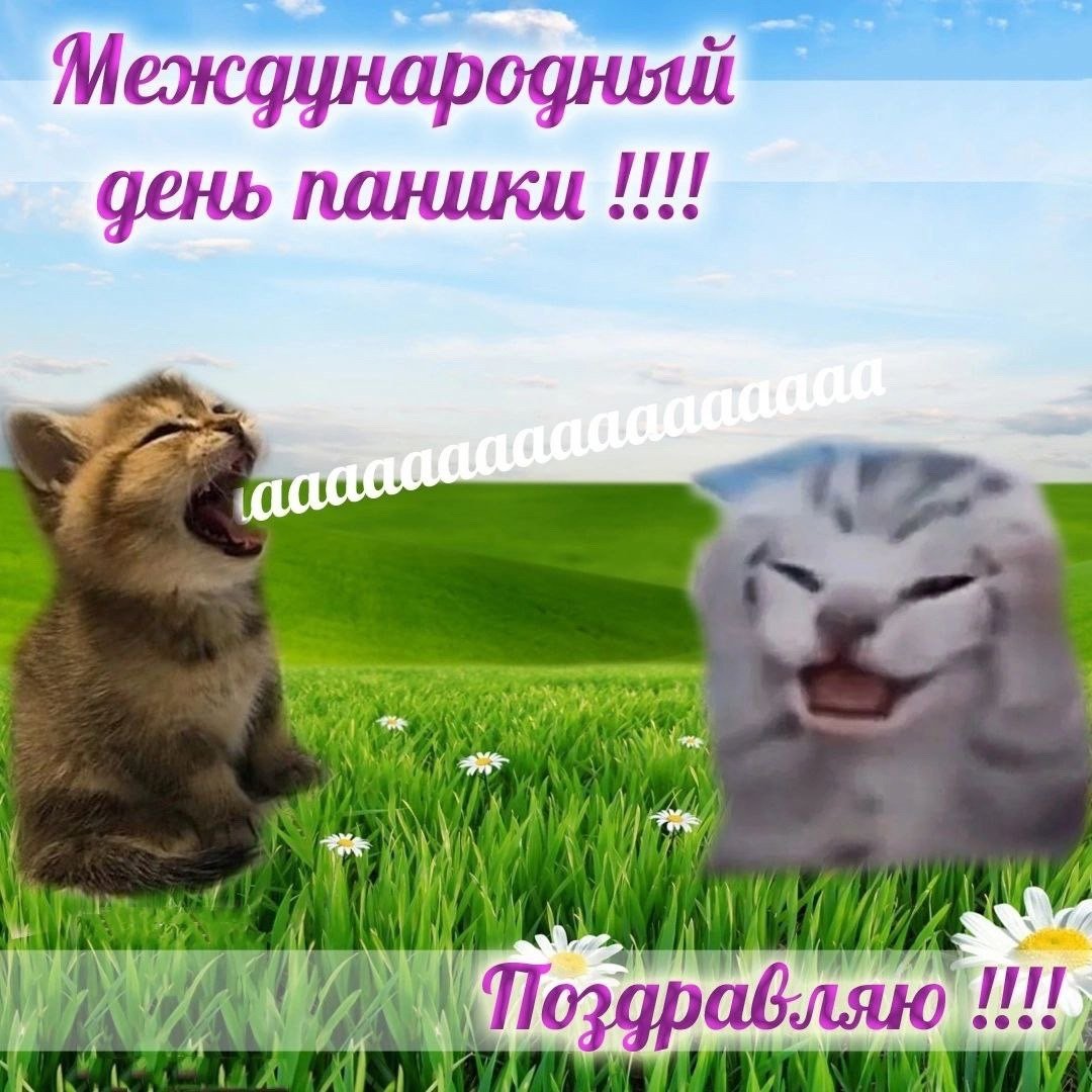 Выходные ещё не начались, а я уже переживаю, что ничего не успела 🤧