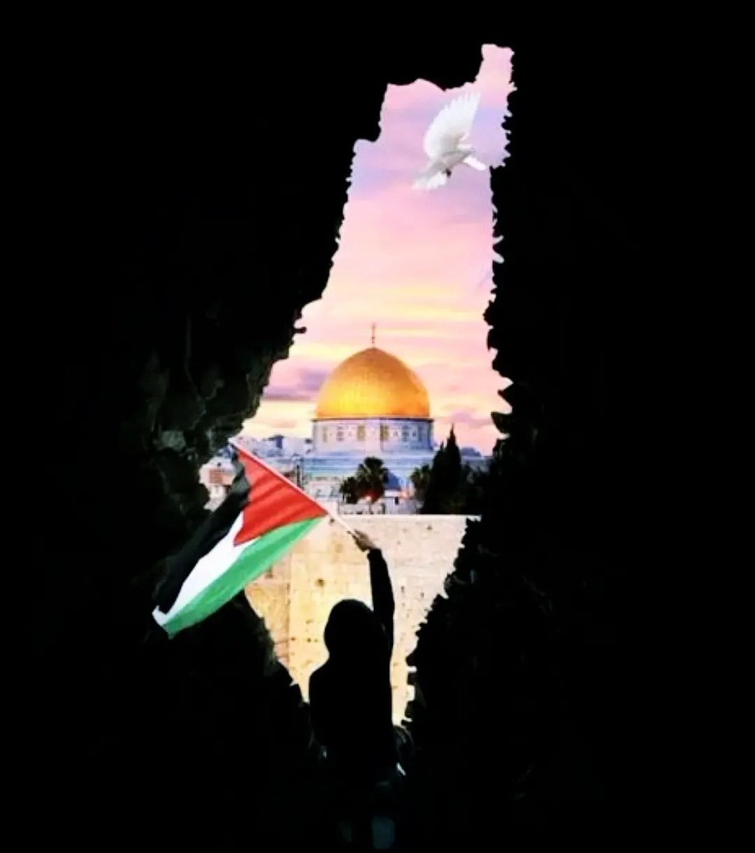 M_Kahfi_MA's tweet photo. https://t.co/tjPp7EZZVZ