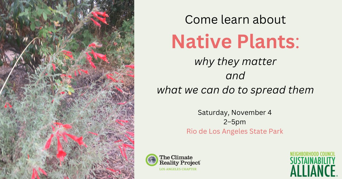 laclimateleader's tweet image. Join @LA_NCSA and us on Saturday afternoon for a tour of Rio de Los Angeles State Park + a conversation about #NativePlants, #Water, #Biodiversity, #Trees, #StormwaterCapture, the #ClimateCrisis, how they connect, and what we can do! Learn more and RSVP at laclimatereality.org/calendar/2023/…