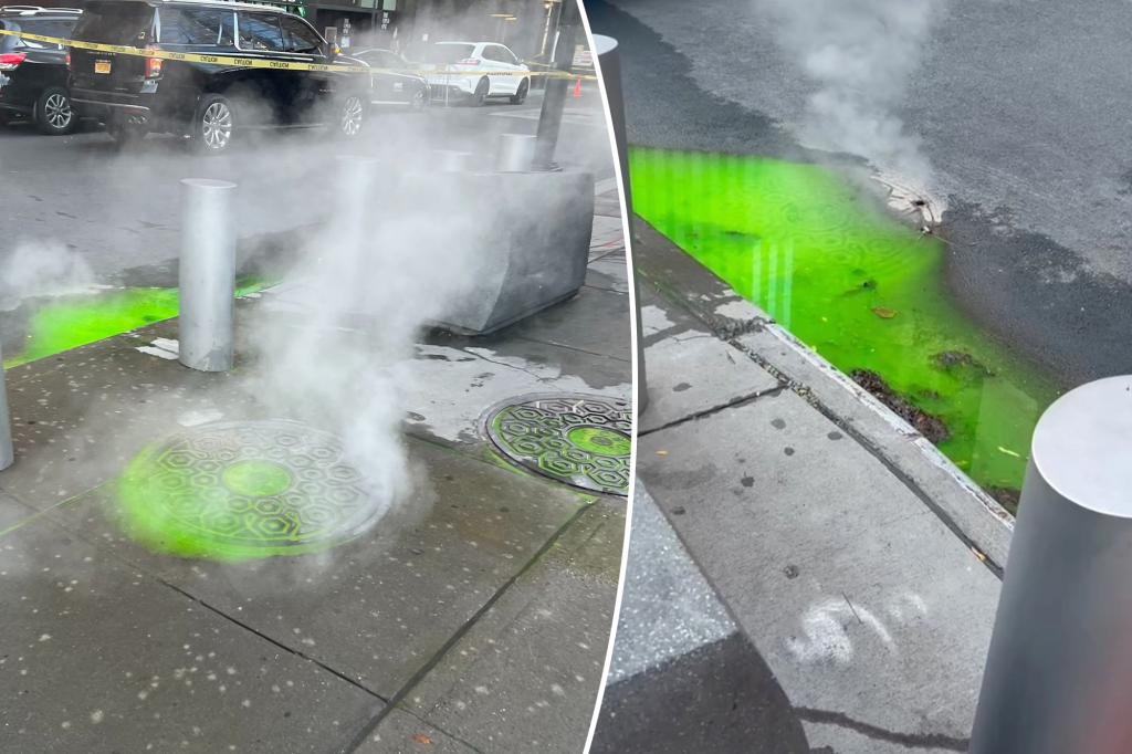 nypost's tweet photo. NYC’s green slime spotted bubbling up from underground — the surprising source revealed https://t.co/So6vFoaTqM https://t.co/LuoejAvKhP