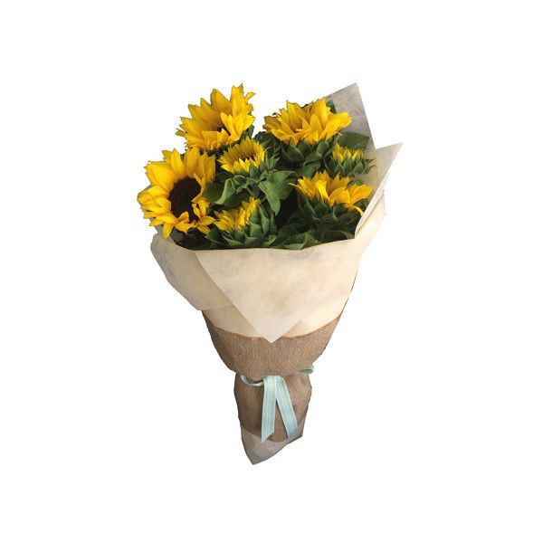 ProfsDenver's tweet image. ㅤ
𝗛𝗲𝗿𝗼 flies to @dragontakers house and drops a package.

“Dear, Kiryū. Thank you for your hard work over the past 5 months. Great job, you greatly exceeded my expectations. Sukses selalu untuk kedepannya, semoga kita bisa bekerjasama di lain kesempatan.”
ㅤ