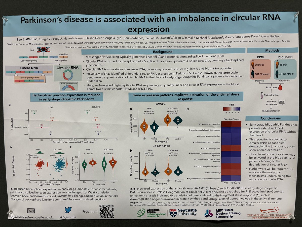 b_whittle's tweet image. I’ll be at PB1700 from 3-5 today presenting my work on circular RNA expression in early-stage Parkinson’s - come say hi! #ASHG2023