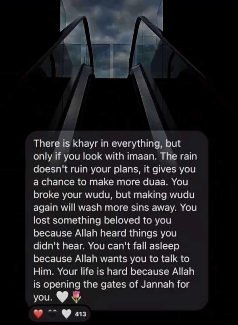 Lylah🇵🇸 (@layl_Msn) / Posts / X