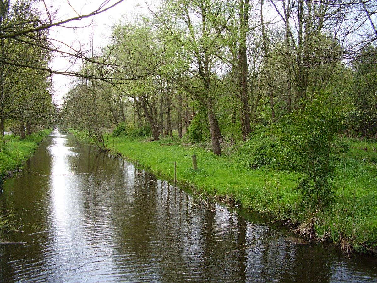 Een deel van het Noorderhout is afgesloten. Na de storm staan er een aantal wilgen er gevaarlijk bij. Er zijn hekken geplaatst met info.<a href="/GemeenteGouda/">Gemeente Gouda</a> @michelk <a href="/wtplaswijck/">WijkteamPlaswijck</a> <a href="/WTBloemendaal/">Wijkteam Bloemendaal</a>
