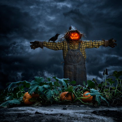 November scarecrow
Ragged in the moonless field
Marigold wreathed brow

#vssfantasy #madverse #vssnature #vsshorror #haiku #poem #poetry