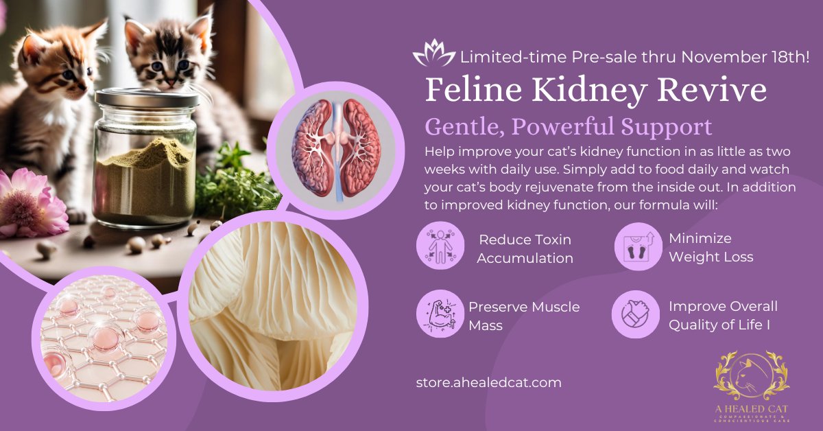 ahealedcat's tweet photo. Feline Kidney Revive has just been released! Check out https://t.co/UVPOEi3bIm ... Gentle, powerful protein-based support for your cat's kidneys. From our cats to yours! #AHealedCat #FelineKidneyRevive #CatCare #CatHealth https://t.co/ovDzWkHvc2