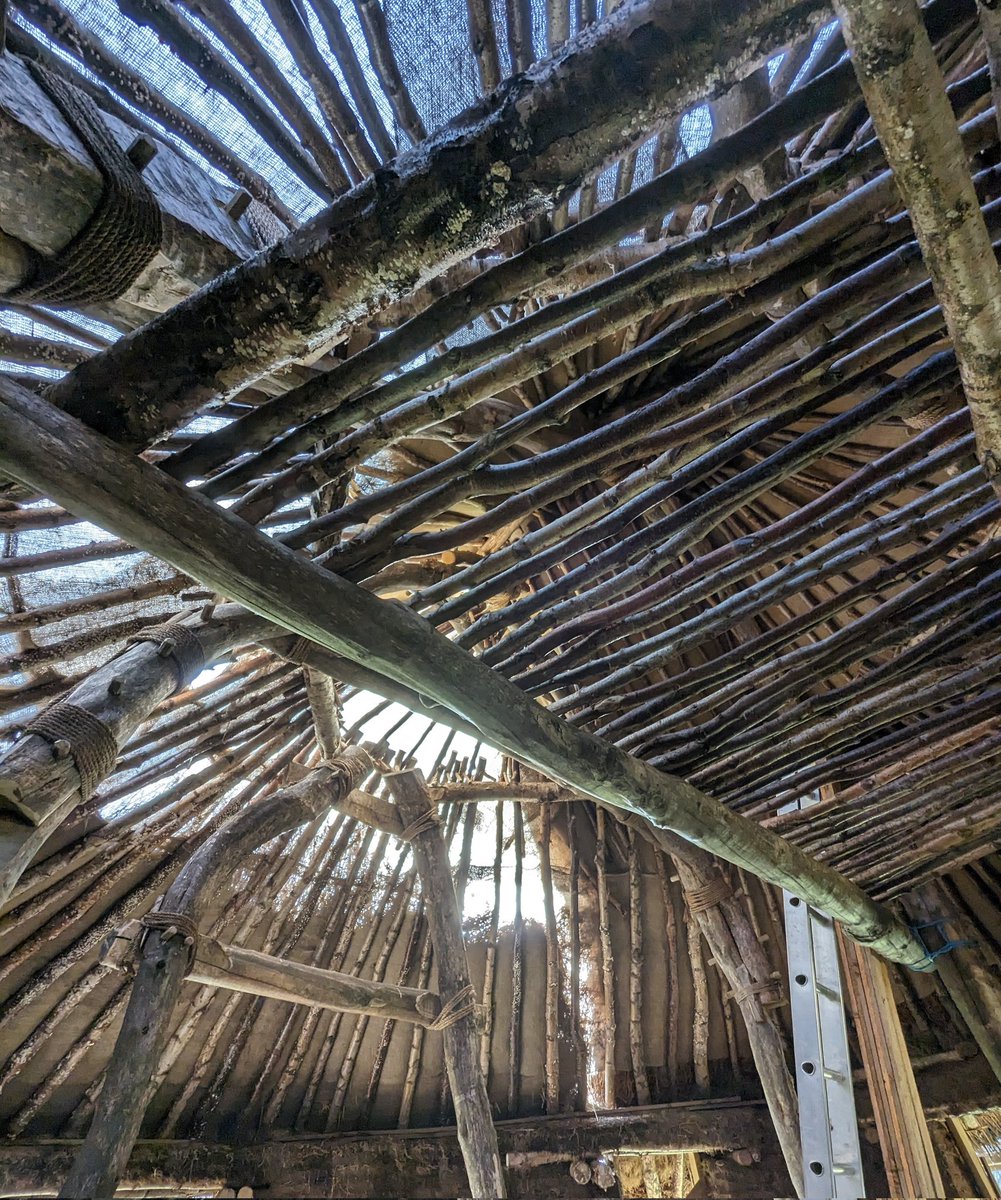 Stef North Sagrott tweet media