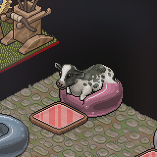 TasteSam's tweet photo. #Habbo My cow is my biggest star x https://t.co/XJXNW4Zdyy