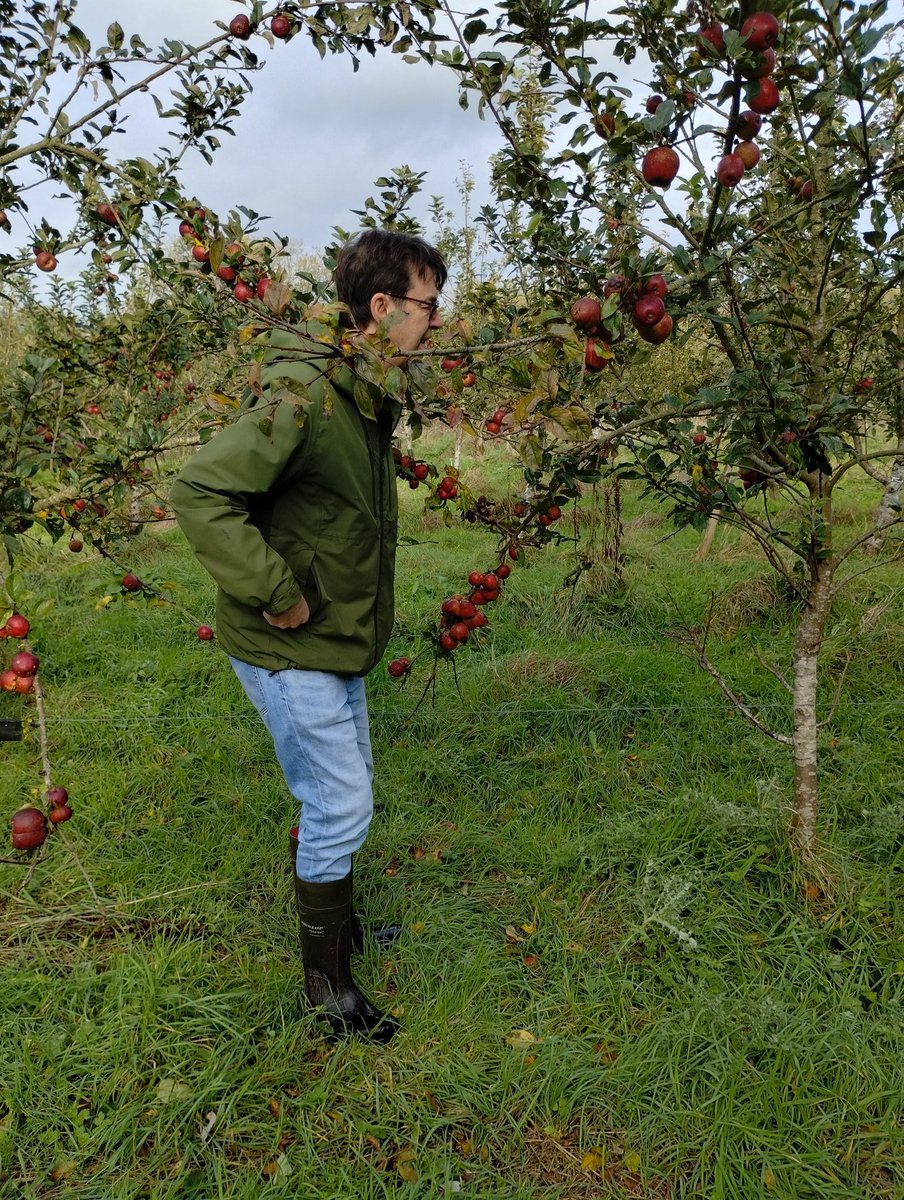 Liberty Fields tweet media