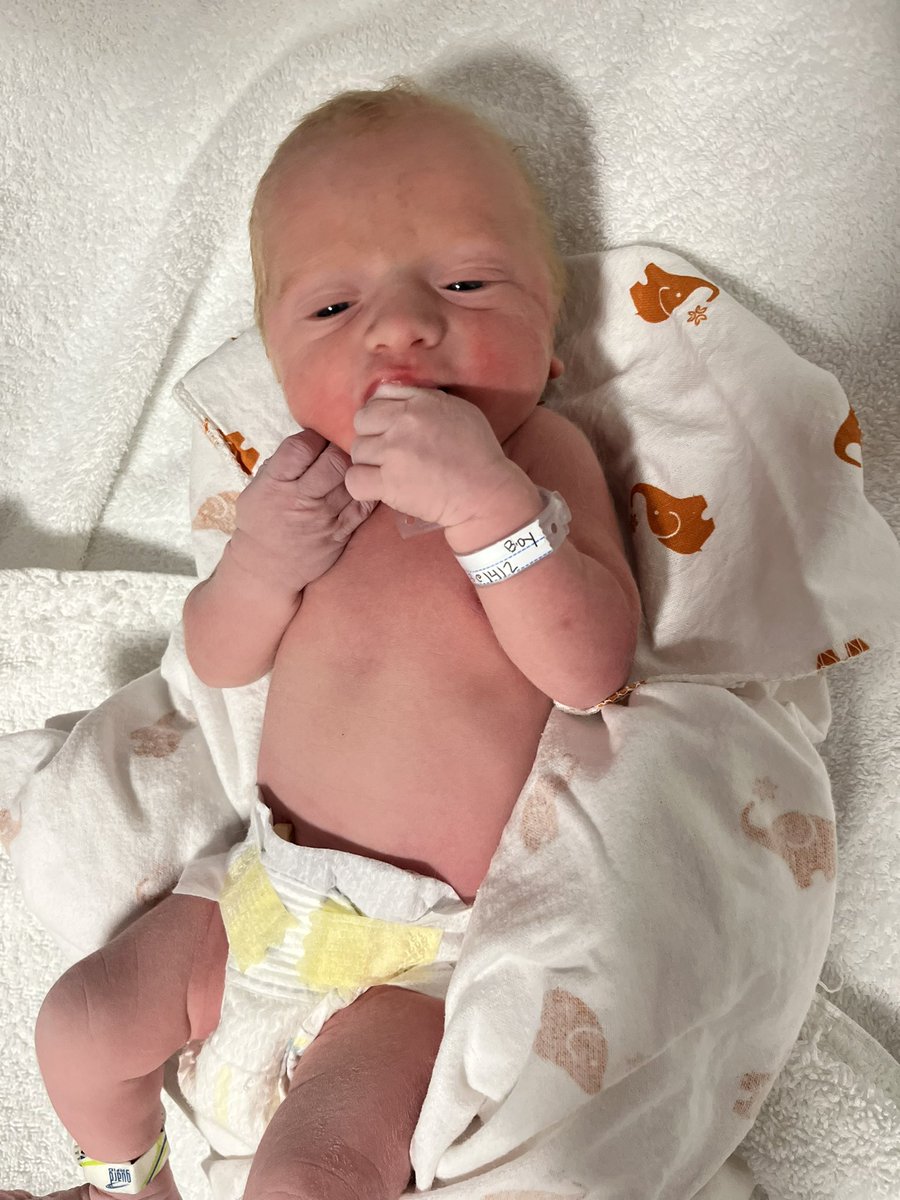 Joe Connolly tweet media