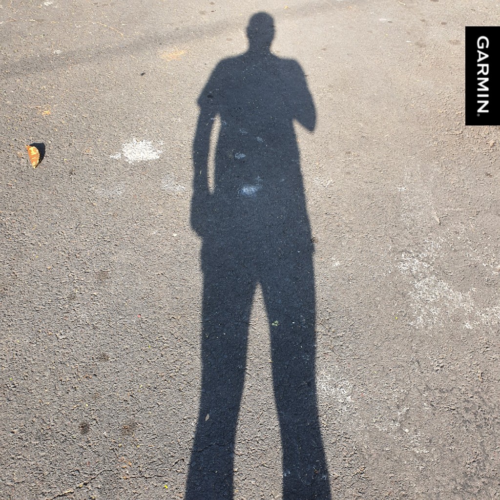 El_Dandys's tweet photo. ¿Ya entrenaron? 😎👊🏾💥
#garmin #beatyesterday #YoElegiCorrer #PrietoPower https://t.co/Sti6vKYBHZ