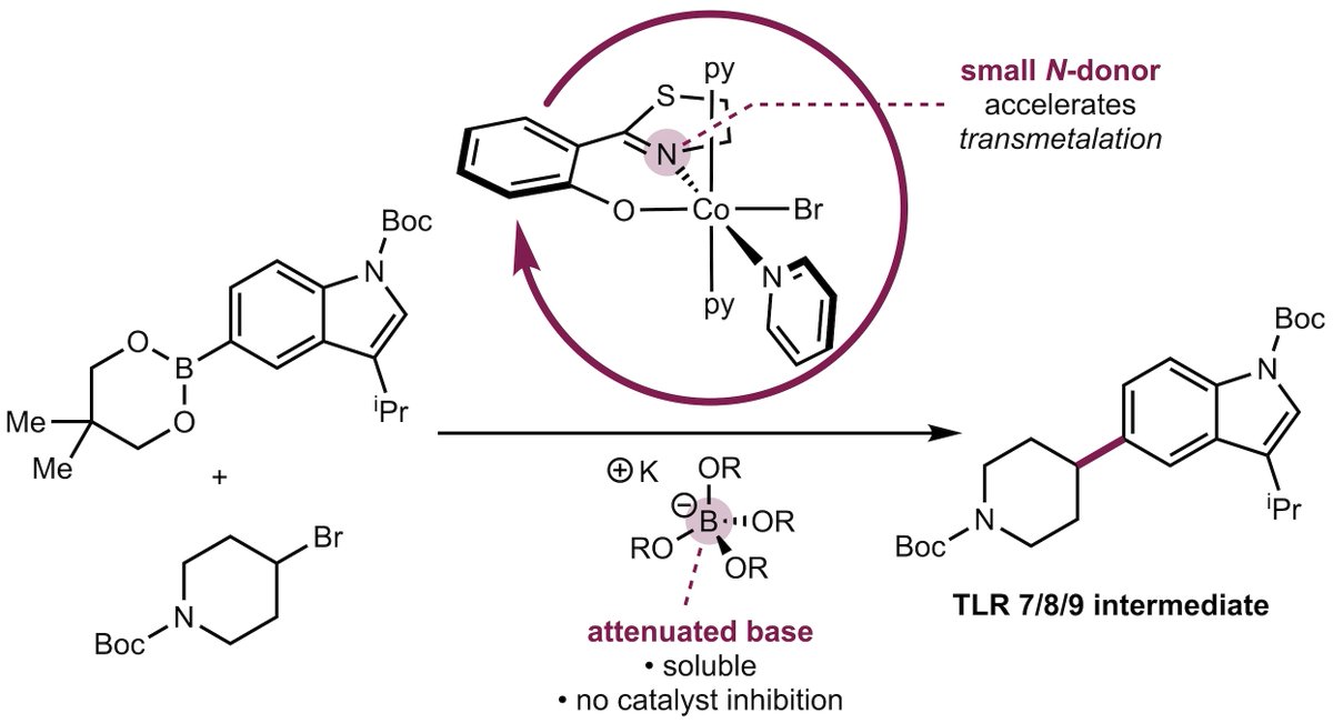 I would have never thought to put S in our ligand, but turns out phenoxythiazoline (FTz) is really good for cobalt-catalyzed Suzuki cross-coupling! See our work on (FTz)Co precatalysts for TLR7/8 antagonist synthesis @ChirikGroup @stevewiz06 @bmsnews onlinelibrary.wiley.com/doi/10.1002/an…