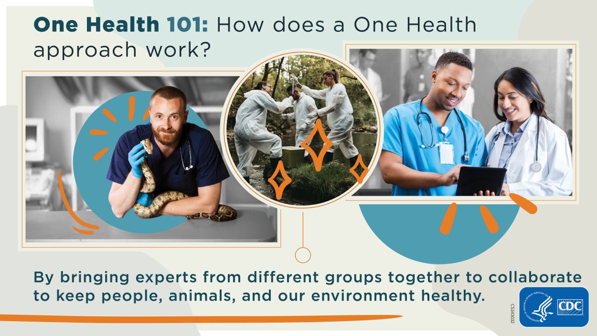 Today is #OneHealthDay. A One Health approach can help solve many public health issues, from #antimicrobialresistance to #foodsafety and security and more. We can work together to make a healthier world for people, animals, and our shared environment. bit.ly/cdcOneHealth