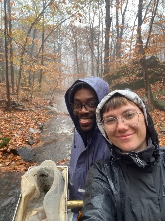 Dr. Bekka Brodie tweet media