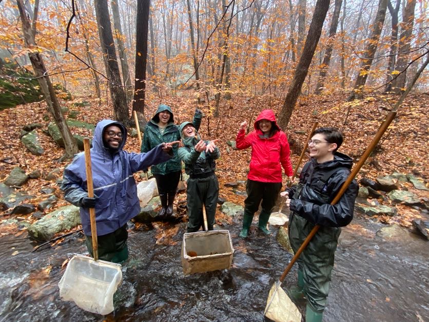 Dr. Bekka Brodie tweet media