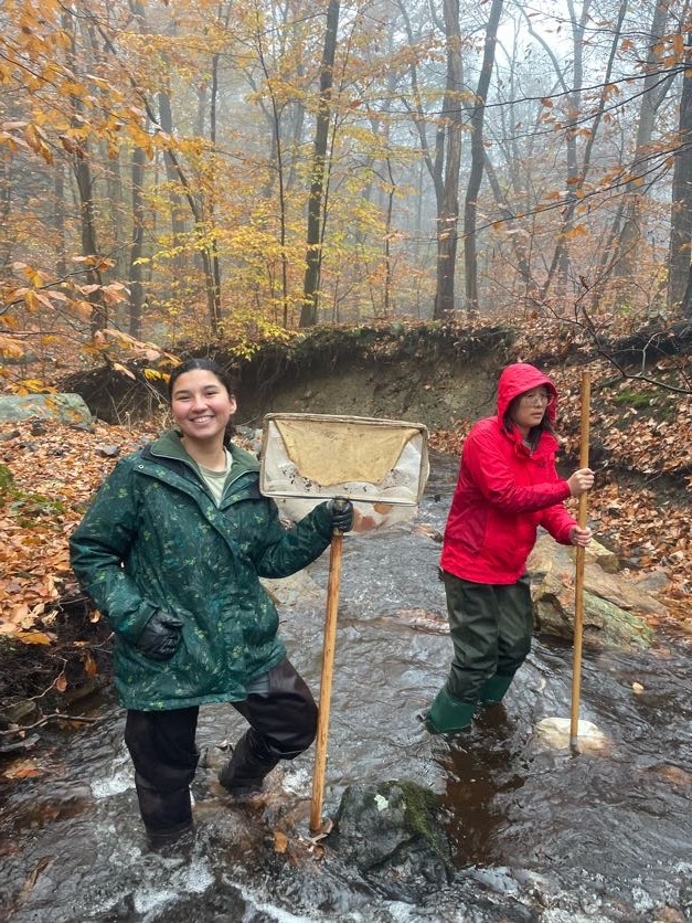 Dr. Bekka Brodie tweet media