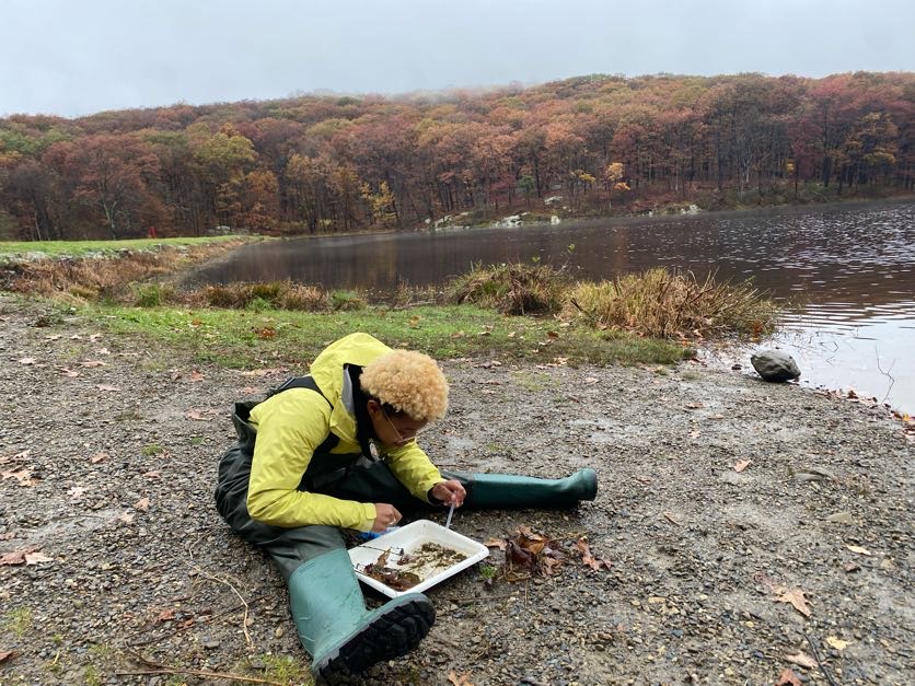 Rain can't dampen the spirits of true entomologists! 🌧️🐜🪲 Collecting aquatic insects in the downpour - dedication in every drop! 💪🔍 <a href="/E3BColumbia/">E3B Columbia</a>
