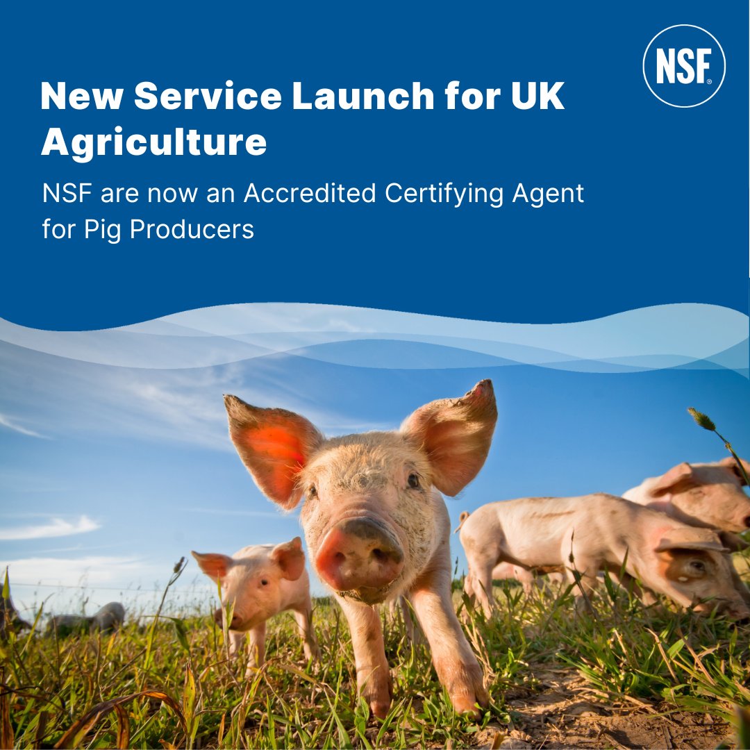 Excited to announce that NSF are now accredited as a Certifying Agent under California's Animal Confinement Regulations. If you would like to find out more about this new service, contact us via bit.ly/3tQYJmr