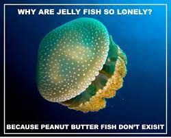 Sci4GA's tweet photo. Jellyfish have no brain or heart ... which means that they can't celebrate World Jellyfish Day today!!! Let's give it up for these bizarre invertebrates on this Funny Friday 👏
#meme #scicomm #sciencememe #sciencecommunication #sci4ga #funnyfriday https://t.co/qY4vA13xjX