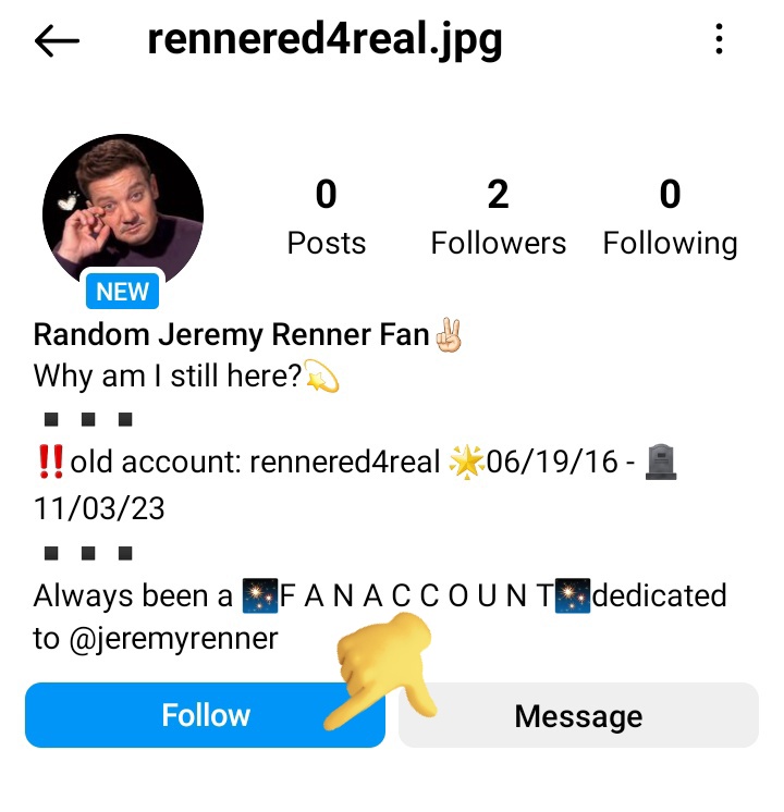 Rennerland tweet media