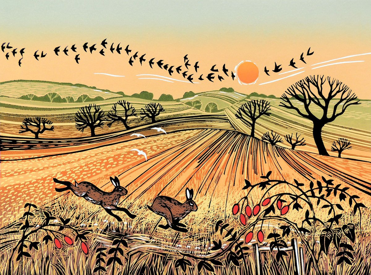 southwold_art's tweet photo. All across the nation, there are Starling Murmurations, Avocets are feeding &amp; Hares are leaping. 

See more here: https://t.co/R9KMIAnZqF 

#starlings #birdart #avocets #avocetart #birds #hares #hareart #fields  #linoart #linocut #southwoldart #southwold #contemporaryart https://t.co/kHBEz0CxPE