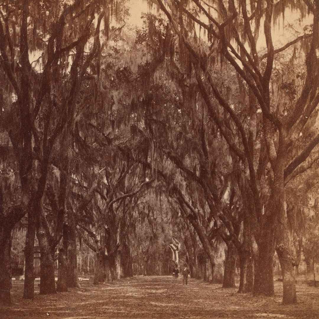 A flourishing Victorian era led to the design of cemeteries that emphasized nature. Cemetery locations were purposefully selected to ensure visitors could enjoy their surroundings while paying respects to those who've passed away. Image from @nypl #NYPLDigitalCollections