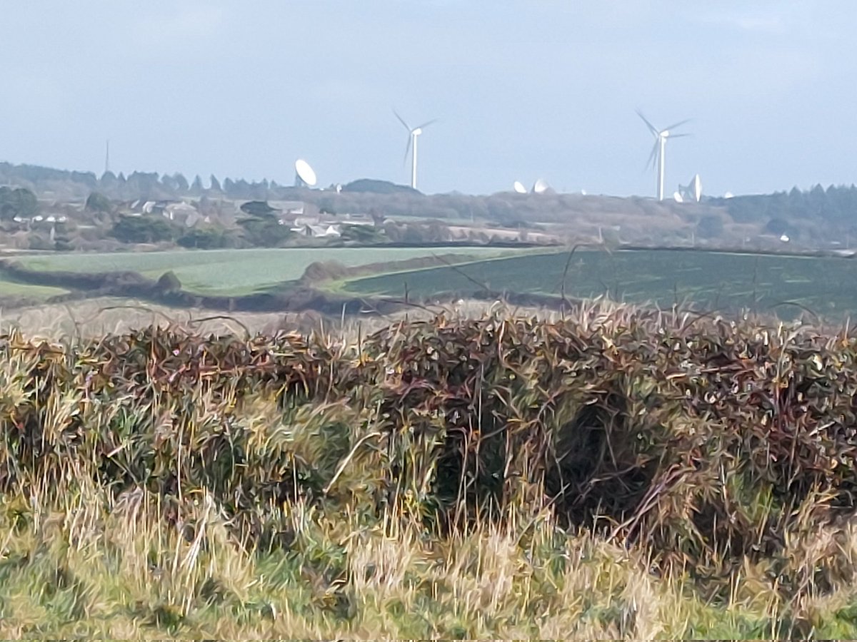 Dave Robinson tweet media