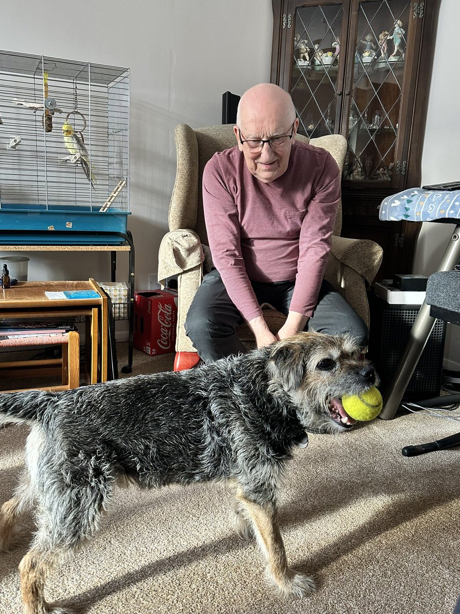ScrappyN's tweet photo. Been to see my favourites pals π always a fun time and they even have vintage πΎ π€π #ScrappyNelson #dogsofX #btposse #FridayMotivation Now on route to the specialist vetty for chemo 3 π https://t.co/qXz015mP1Q
