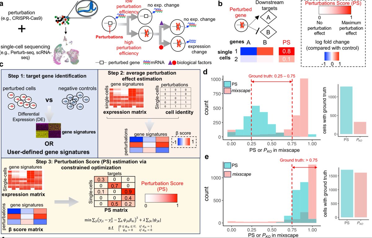 Single Cell Heterogeneous PS: Decoding Heterogenous Single-cell Perturbation Responses https://t ...