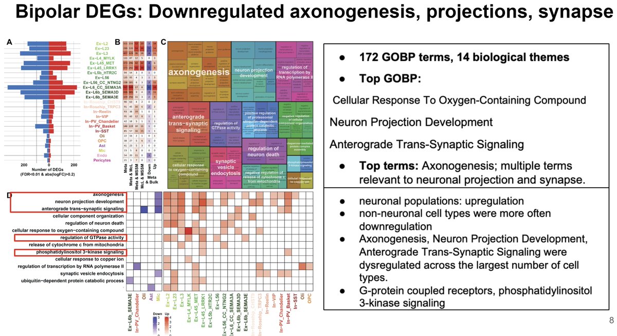 manoliskellis's tweet photo. Don't miss @XikunHan 's #ASHG talk on #SingleCell dissection of #BipolarDisorder starting now Room207A/Level 2 (11:15am, Friday) #ASHG23 Integrate: 88 samples, 500k cells, #GWAS, single cell-#eQTLs in 2.3M cells 
Results: #BD differentially expressed genes (#bdDEGs), enriched pathways, cell types, modules, #RegulatoryNetworks
Mendelian randomization #causal #driver genes and putative #therapeutic targets
Team: @XikunHan, @brad_ruzicka, @ShahinMohammadi, #PsychENCODE, #KikiGalani, #LiLunHo in @Panos_Roussos and @ManolisKellis labs. Very proud of the whole team at @MIT, @BroadInstitute, @MIT_CSAIL,@IcahnMountSinai, @MITEECS, @MIT_SCC 
More info: https://t.co/NGLbA5NKIE Big thanks to: @NIH and #PsychENCODE project