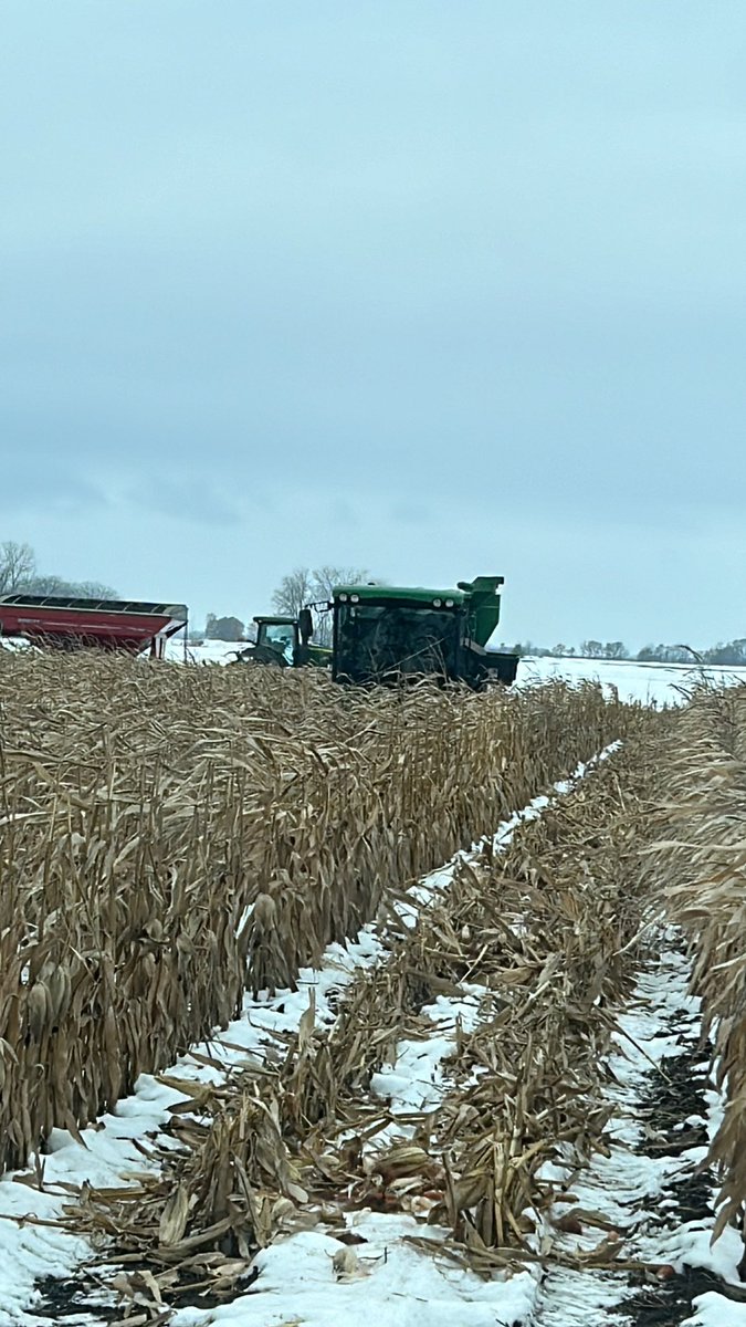 ndrockfarmer's tweet image. A little slow thrashing today but we will get er done!! NDSU drought plot coming off @NDSUExtension @NDAgExpStation @NDSUAgKatelyn