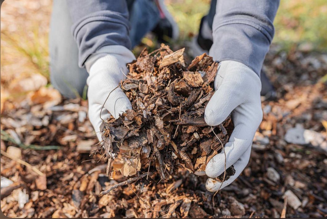 BHS4Environment's tweet photo. Instead of trashing them, use your leaves as compost!!🍁🍂🪵 https://t.co/LtftF89TRJ
