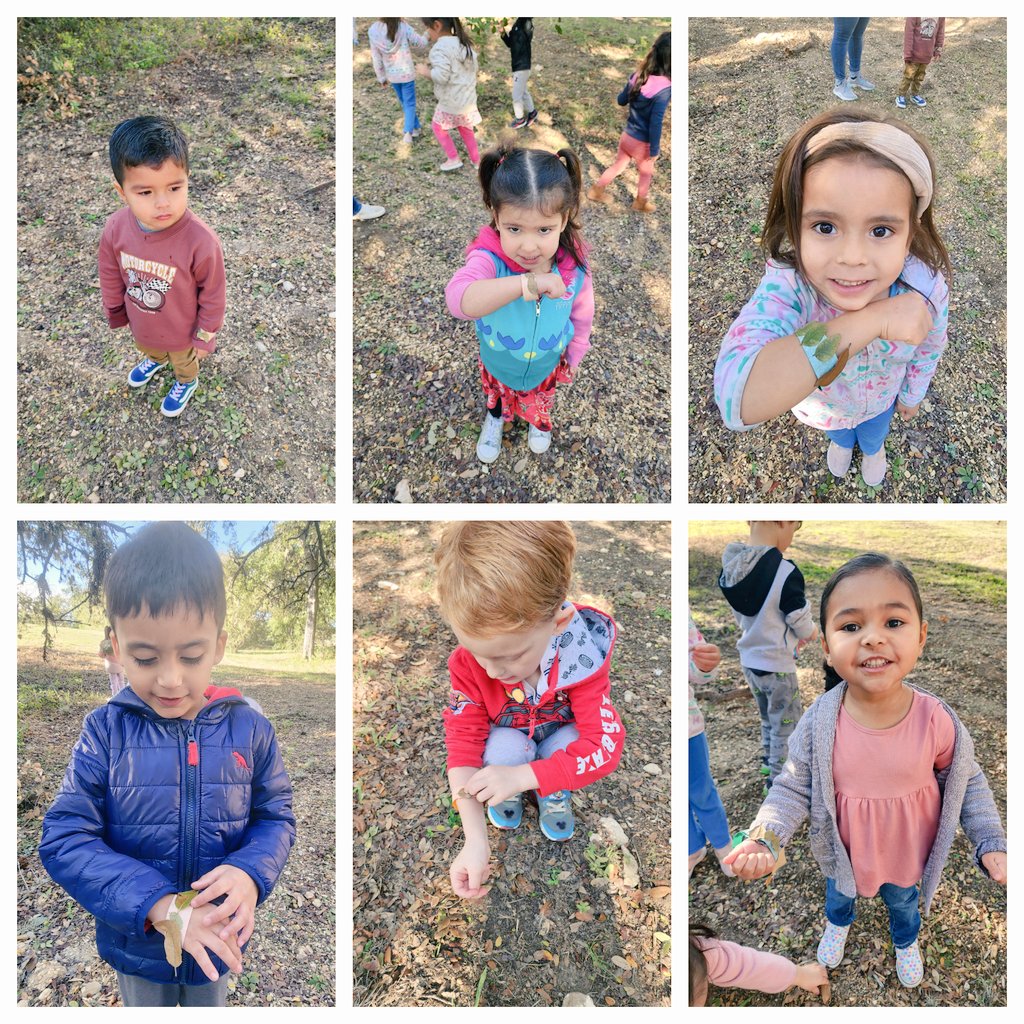 Mrs. Tate-Raba (@nmykah) on Twitter photo We're Going on a Leaf Hunt
<a href="/NISDRabaES/">Raba Elementary</a> <a href="/NISD_ECE/">Northside ISD Early Childhood Education</a> <a href="/Ms_AmandaGuerra/">Amanda Guerra</a> <a href="/DossRaba/">Christie Doss</a> We're Going on a Leaf Hunt
<a href="/NISDRabaES/">Raba Elementary</a> <a href="/NISD_ECE/">Northside ISD Early Childhood Education</a> <a href="/Ms_AmandaGuerra/">Amanda Guerra</a> <a href="/DossRaba/">Christie Doss</a>