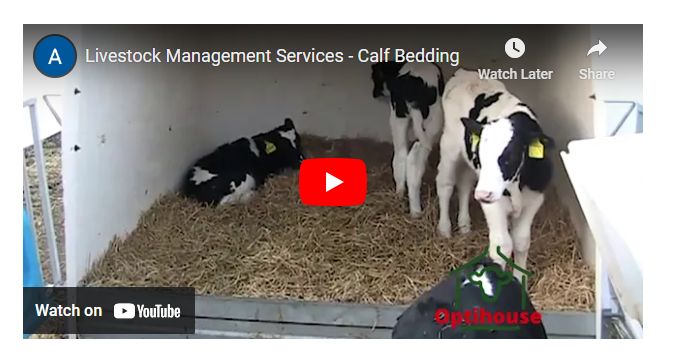 OptiHouse a calf housing project provides a new hi-tech app to help dairy farmers care for calves. Check out the app from bit.ly/47gKCFt and download the guides from bit.ly/49kipzk or view instructional videos from bit.ly/3slViE3 bit.ly/45ZVmXU