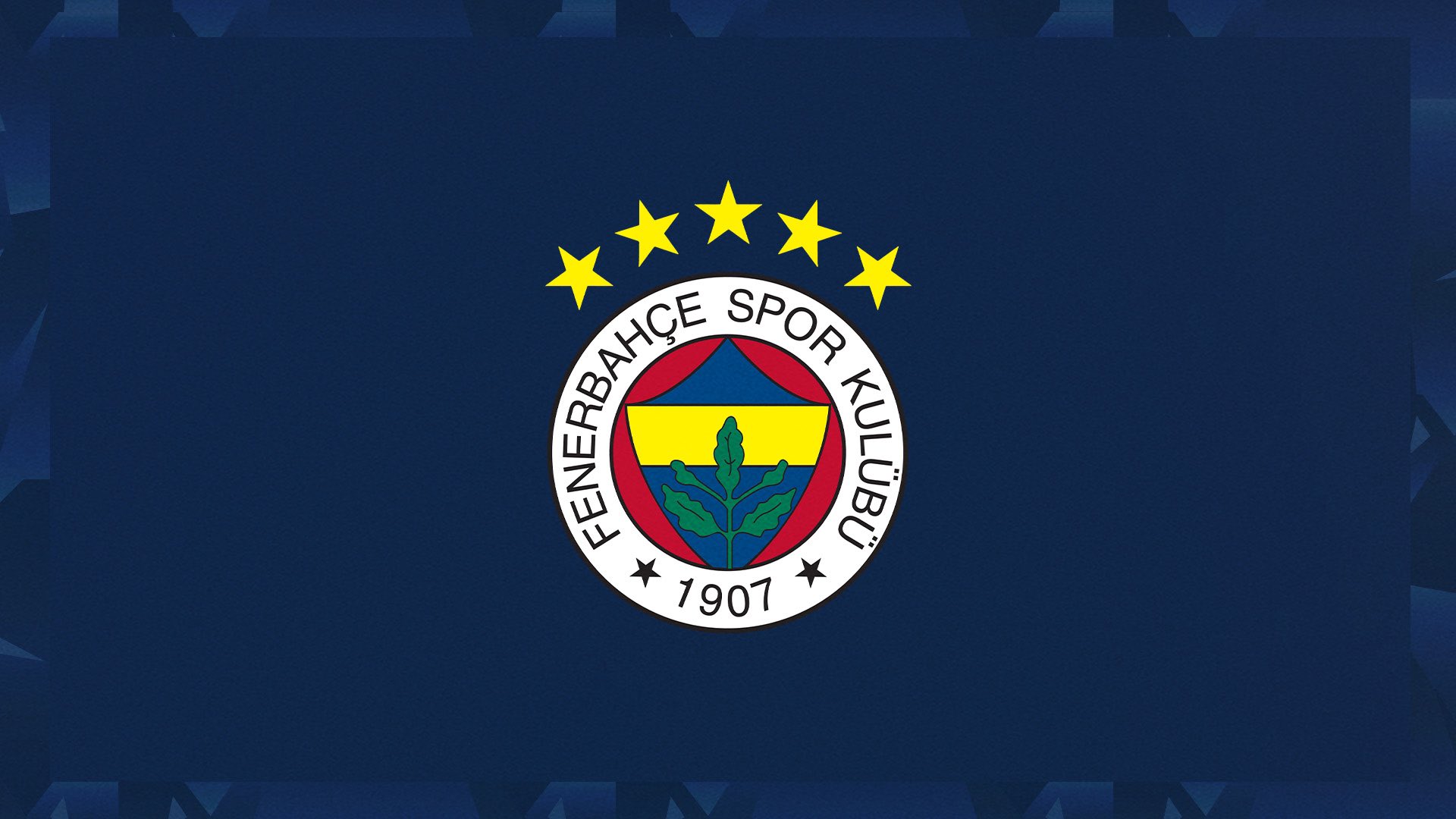 fenerbahçe açıklama