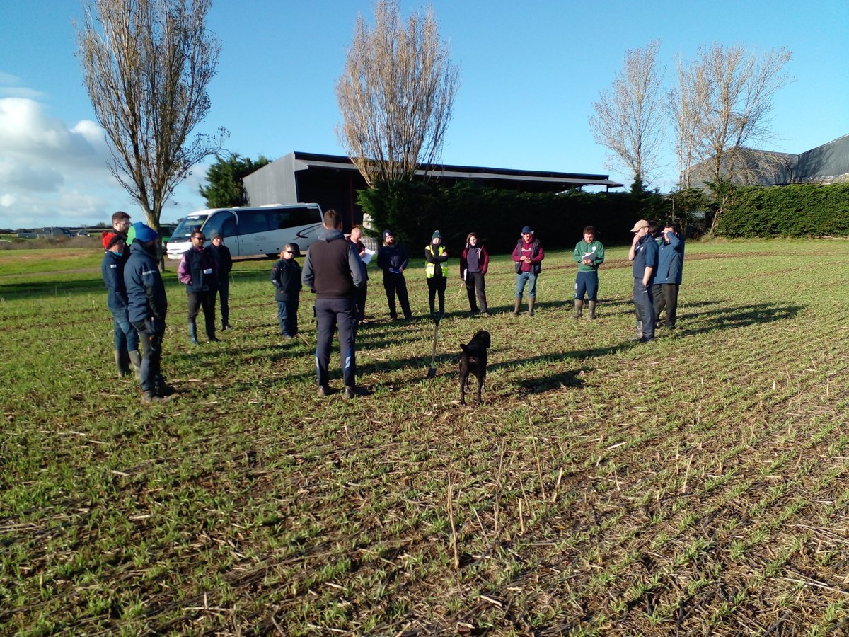Back on the road with the @DeptOfSciSETU MSc programme in Sth Tipp. Excellent brief on regen agriculture in practice with @tierney1981_t Major advances with focus on soil health resulting in better crop health👏 @NatOrgSkill @SETUAgriculture @agriculture_ie @Dept_ECC @BaseIreland