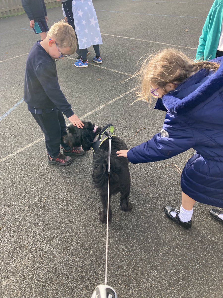 Everyone has loved having Mollie back at school this week🐾