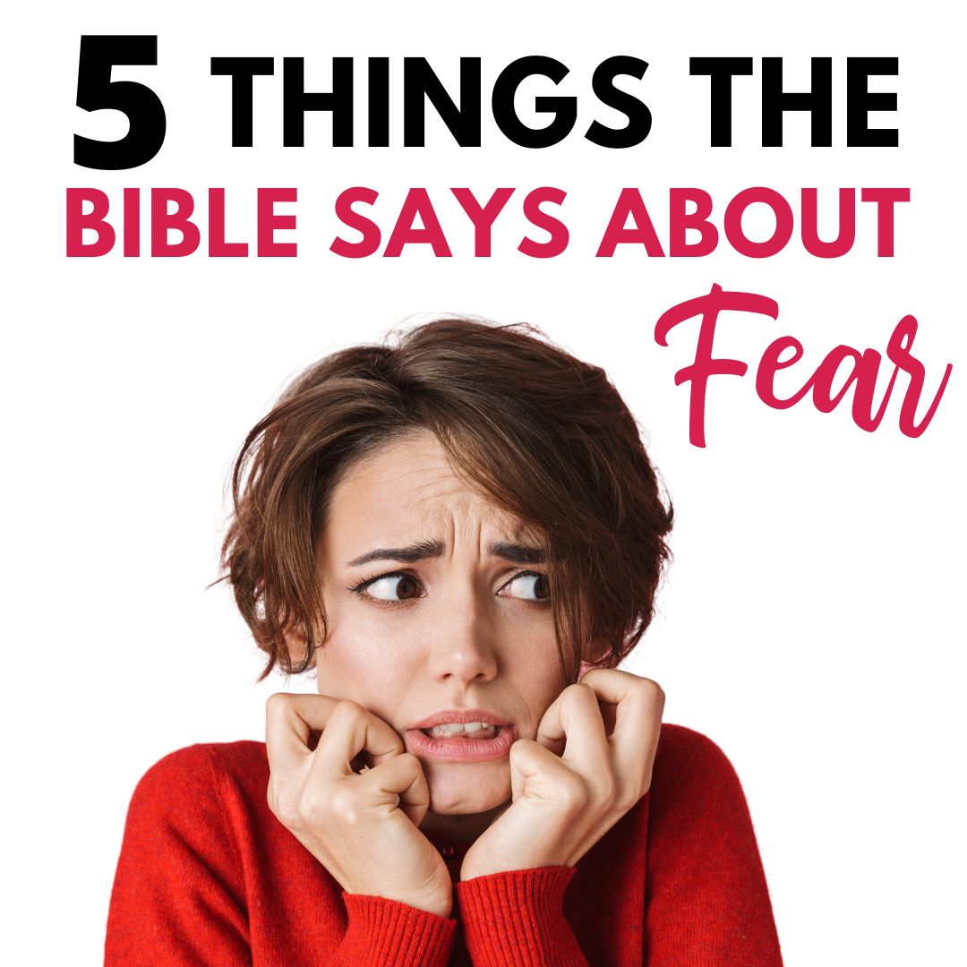 As Christians, we understand that fear can be overpowering at times. However, we also believe that through faith, we can overcome it. With God on our side, we can conquer any fear that comes our way.
moneywisesteward.com/fear-in-the-bi…