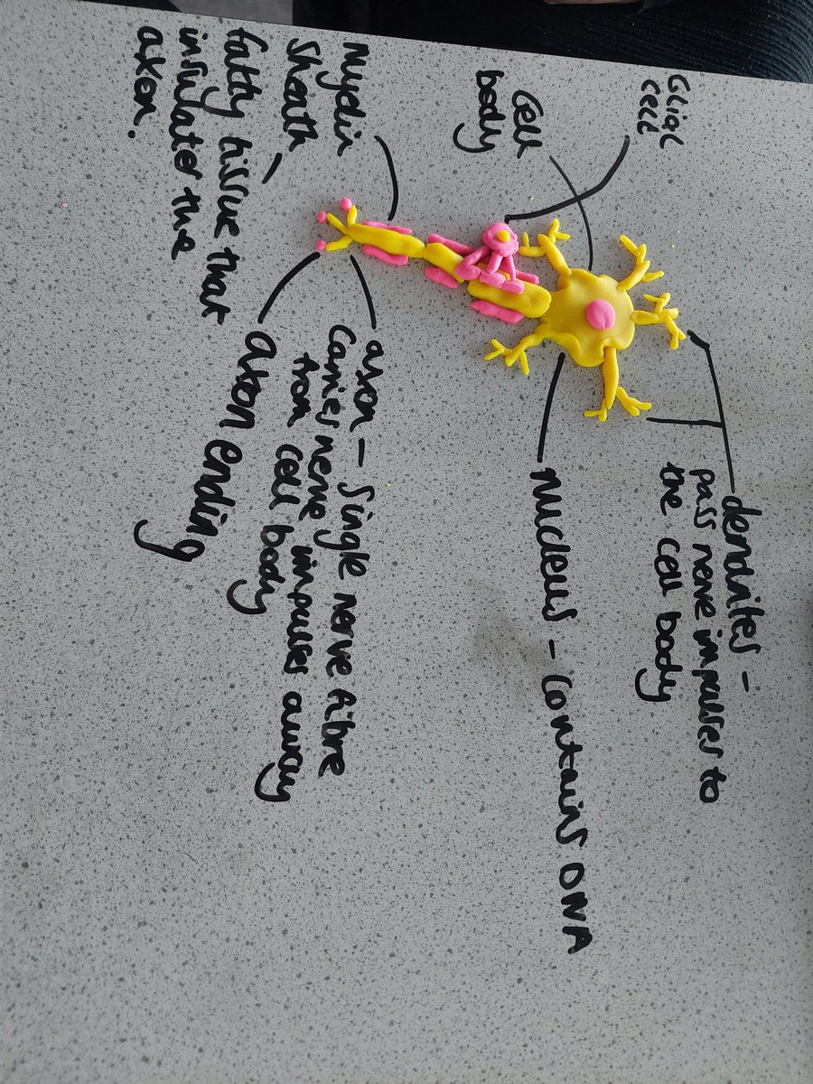 Mrs Hall tweet media